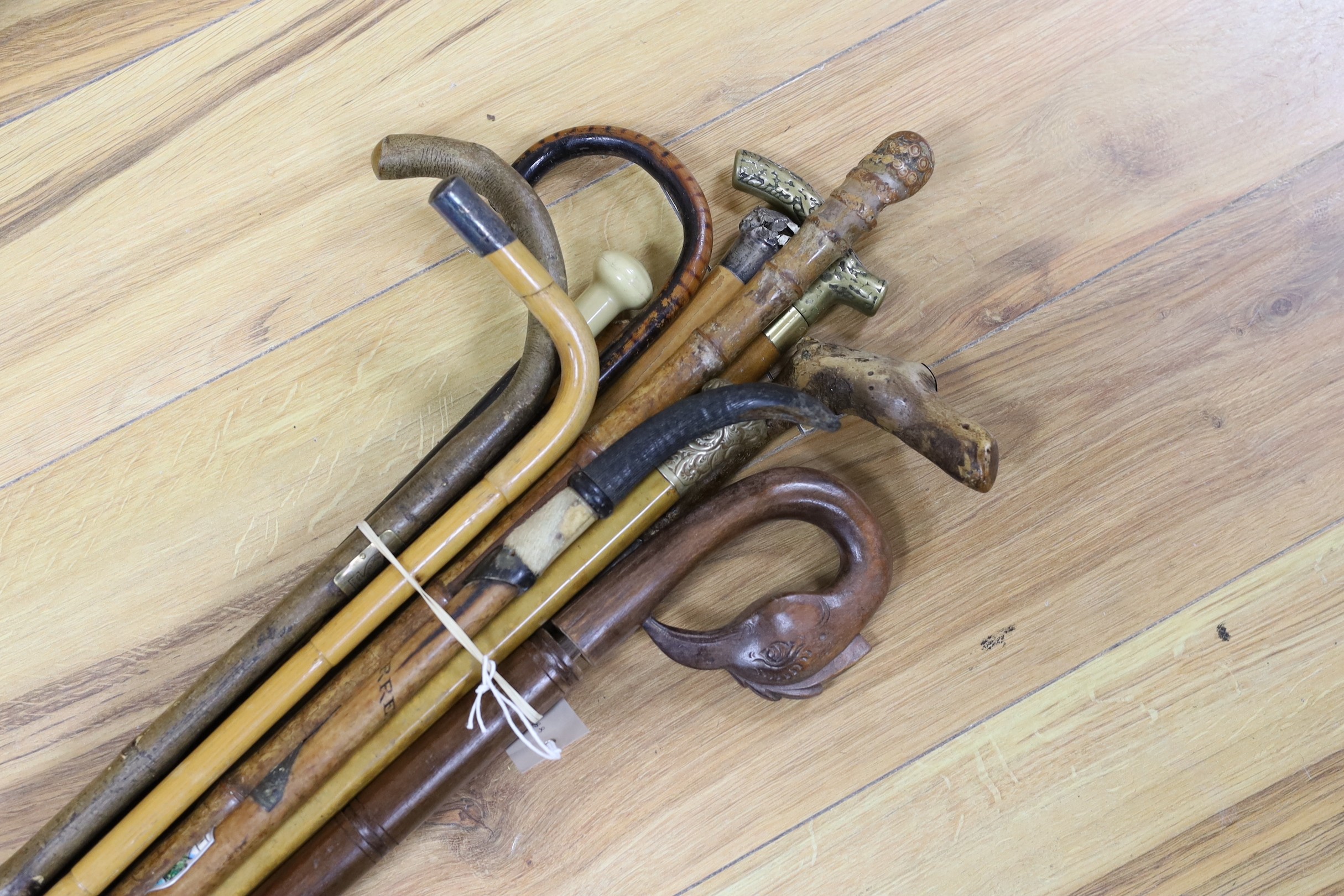 A mixed group of ten walking sticks and canes